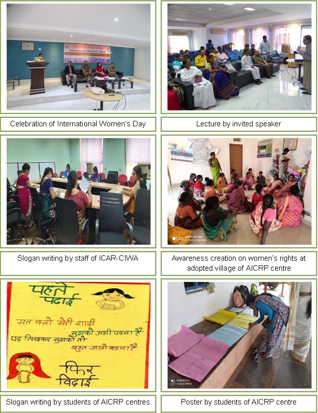 Image of International Women's Week