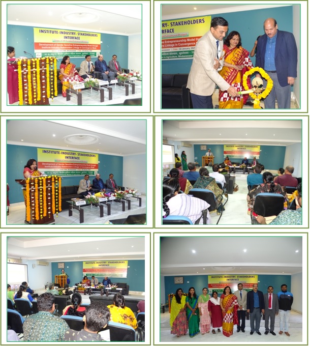 Image of Institute Industry Stakeholders