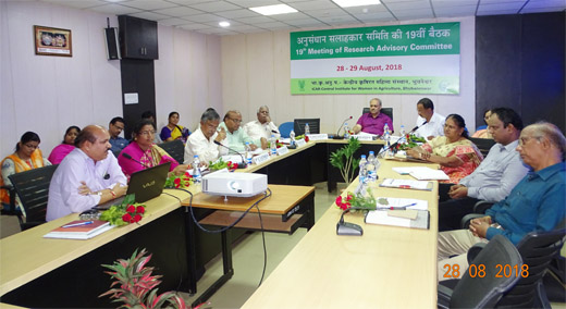Image of Research Advisory Committee meeting 2018 (1)