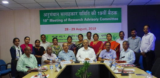 Image of Research Advisory Committee meeting 2018 (2)