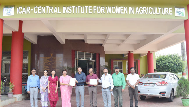 Image of Women Friendly Multipurpose (IVNFS)