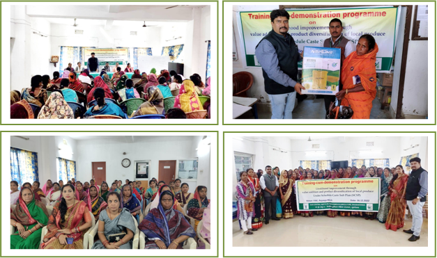 Image of SCSP programme