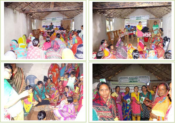 Image of Skill Upgradation Programme