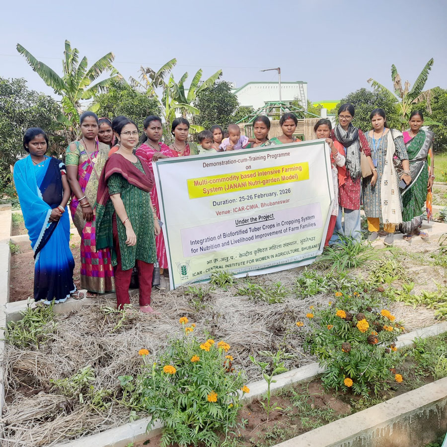Image of Demonstration-cum-Training Program on JANANI Nutri-garden Model