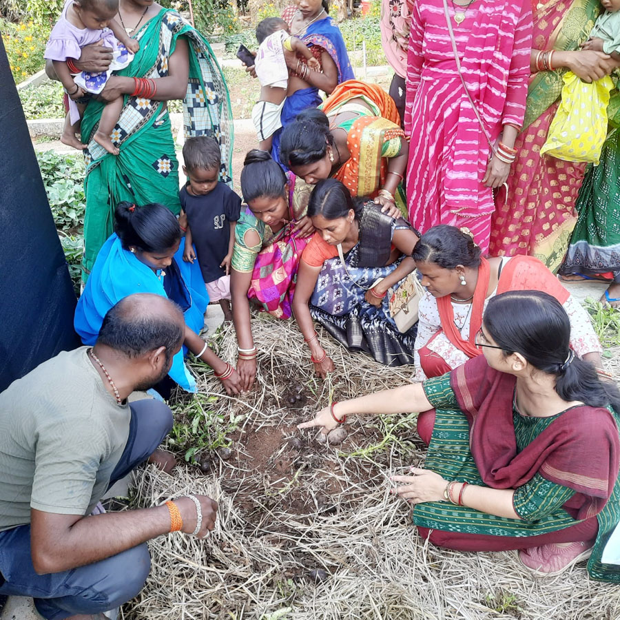 Image of Demonstration-cum-Training Program on JANANI Nutri-garden Model