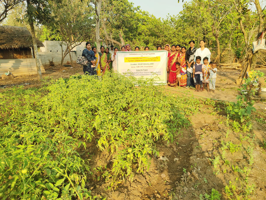 Image of Demonstration-cum-Training Program on JANANI Nutri-garden Model
