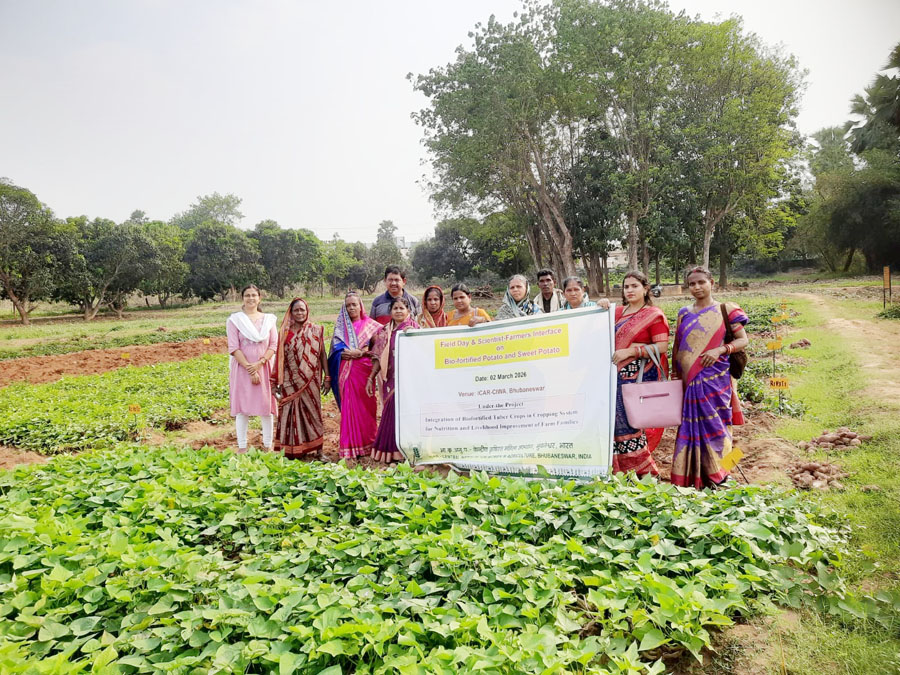 Image of Field Day-cum-Scientist-Farmers Interface on Bio-fortified Potato and Sweet Potato