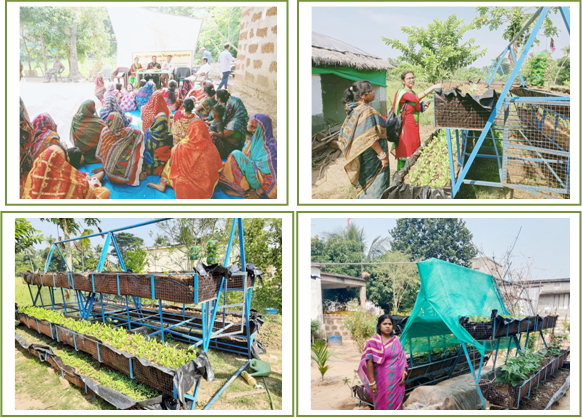 Image of Gender Sensitive Integrated Vertical Nutri-farming System