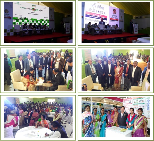 Image of Participation of ICAR-CIWA appreciated during Krushi Odisha, 2019