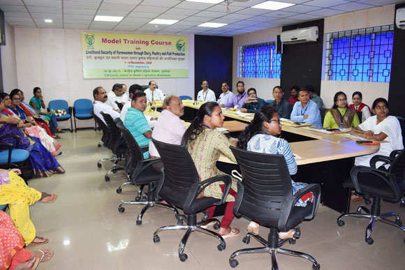 Image of Model Training Course 1
