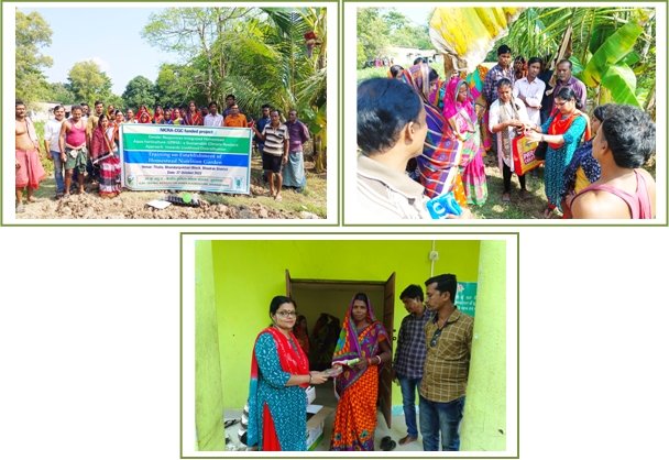 Image of establishment of homestead nutrition garden