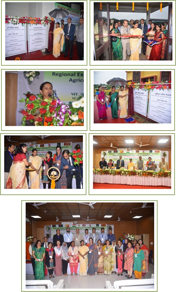 Image of Regional Expert Consultation Meeting