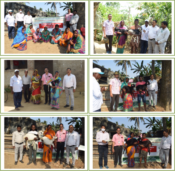 Image of Training on Improved Goat Rearing for Livelihood Enhancement