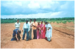 image of VPEW