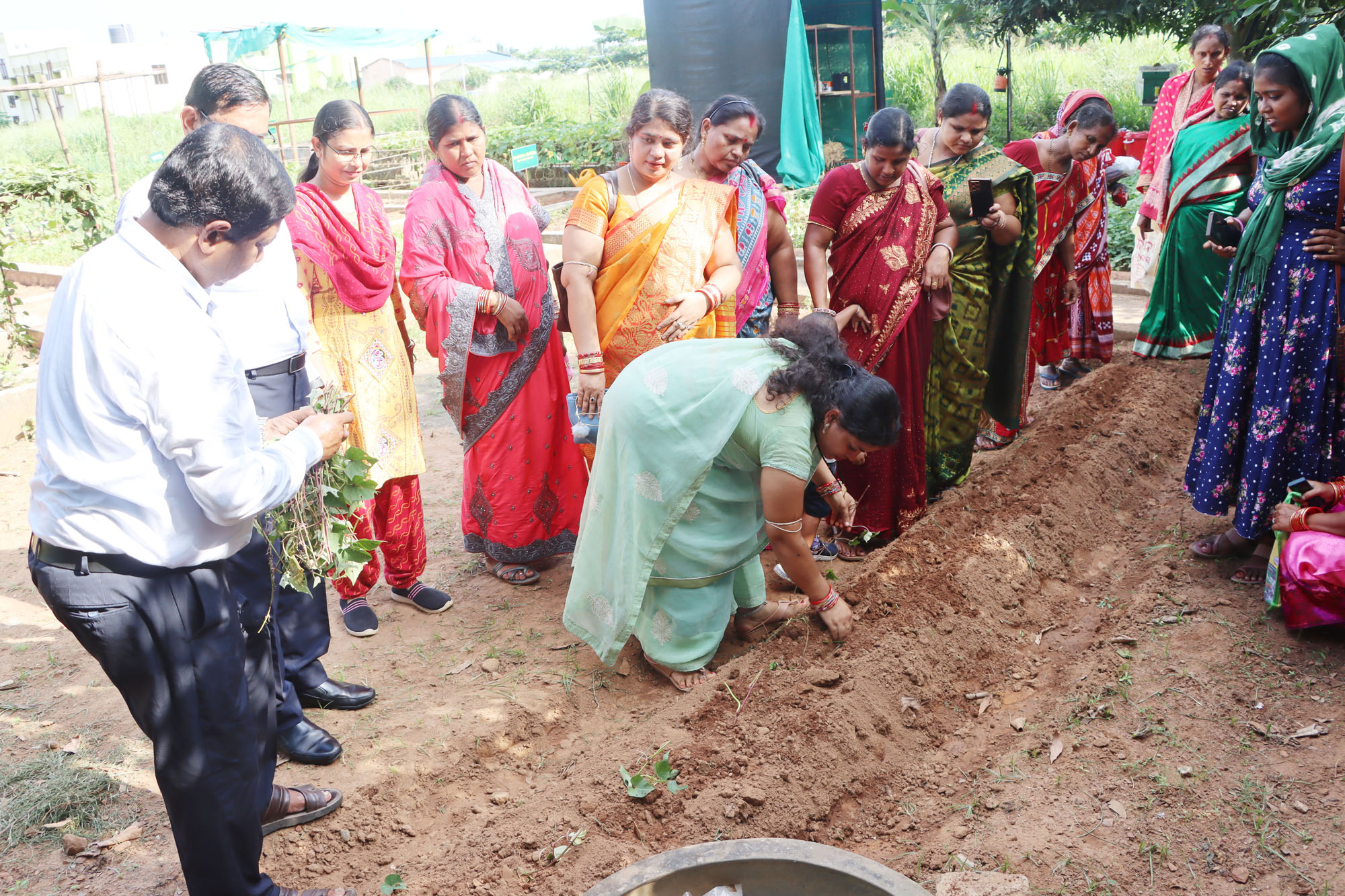 Image of Workshop on Bio-fortified Tuber Crops Integrated Cropping System