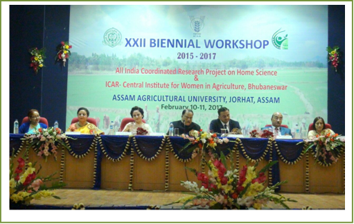 Image of XXII Biennial Workshop 1