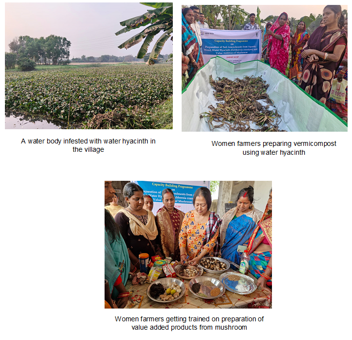 Image of Capacity Building Programme on Preparation of Soil Amendments from Water Hyacinth