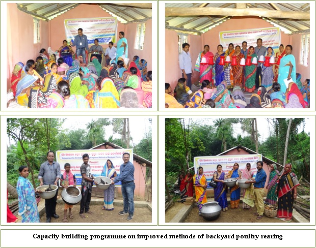 Image of Entrepreneurship Development