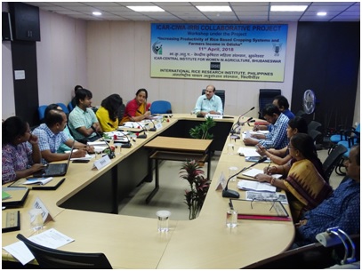 Image of Annual Review Workshop 1