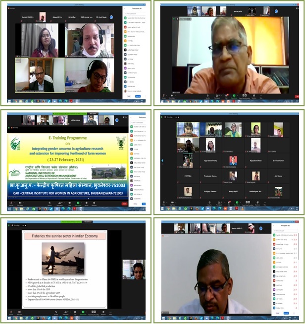 Image of Collaborative Virtual Training Programme