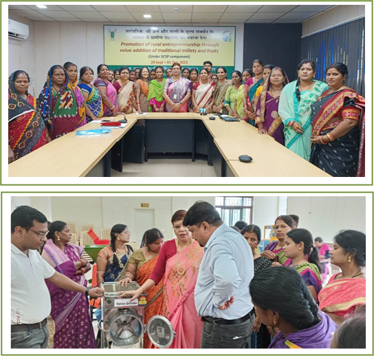 Image of Promotion of rural entrepreneurship through value addition of traditional millets and fruits (1)