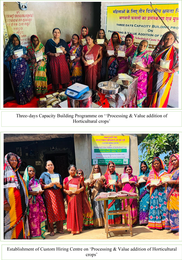 Image of Capacity Building Programme for Jeevika Women FIG