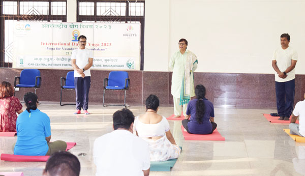 Image of ICAR-CIWA, Bhubaneswar Celebrated International Day of Yoga 2023 1