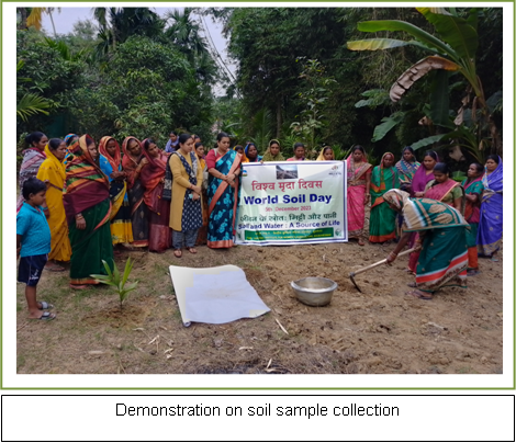 Image of Celebration of World Soil Day 2