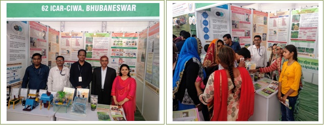 Image of Pusa Krishi Vigyan Mela 2020 (1)