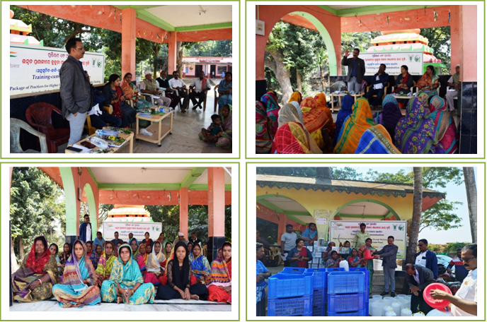 Image of Women SC Farmers at Mallick Sahi