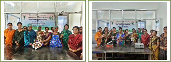 Capacity Building Programme Image 2