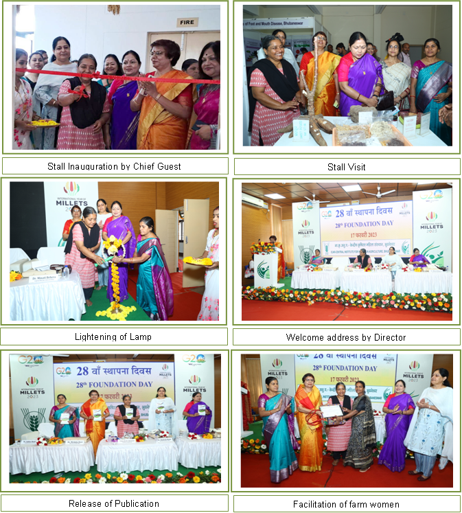 Image of Celebration of 28th Foundation Day
