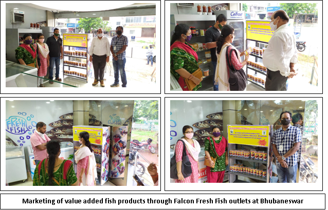 Image of Linking of Value Added Fish Products