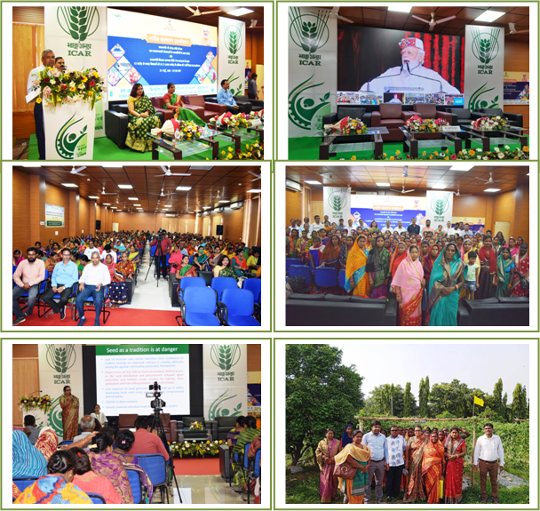 Image of Nationwide Interaction Programme