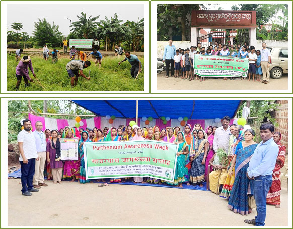 Image of Parthenium Awareness Week at ICAR-CIWA 1