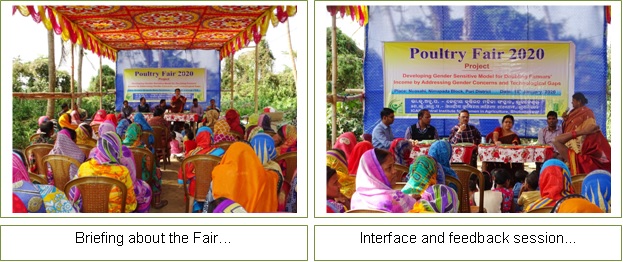 Image of Poultry Fair 2020 (1)