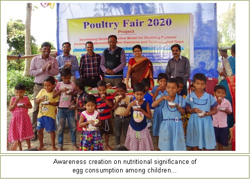 Image of Poultry Fair 2020 (2)
