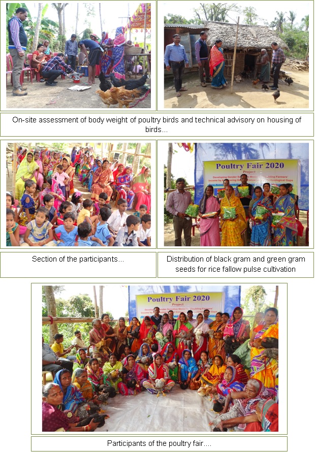 Image of Poultry Fair 2020 (3)