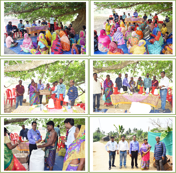 Image of Higher Income through Backyard Poultry Farming