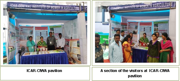 Image of ICAR-CIWA Exhibition Pavilion 2