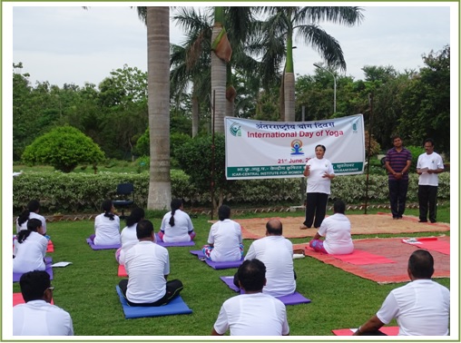 Image of International Day of Yoga 1