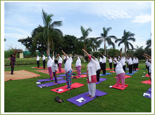 Image of International Day of Yoga 2