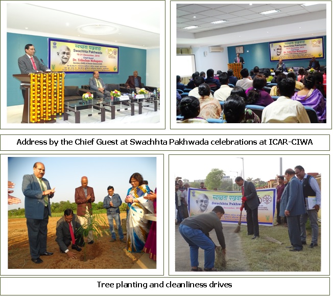 Image of Swachhta Pakhwada Celebrations at ICAR-CIWA 1