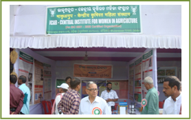 Image of World food day 2016 (3)