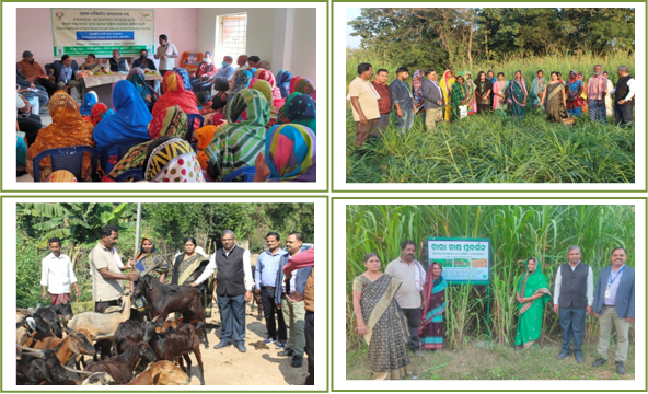 Image of Farmer’s Scientists Interface