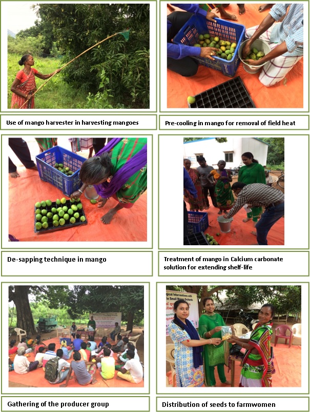 Image of ICAR-CIWA empowered tribal group of 50 farmers