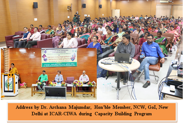Capacity Building Program Image 1