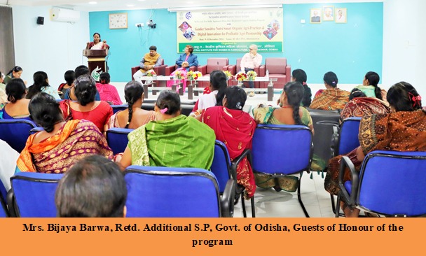 Capacity Building Program Image 2