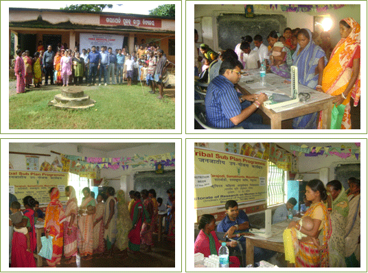 Image of Nutrition Week