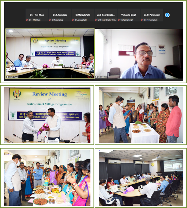 Image of Nutri-Smart Village Programme